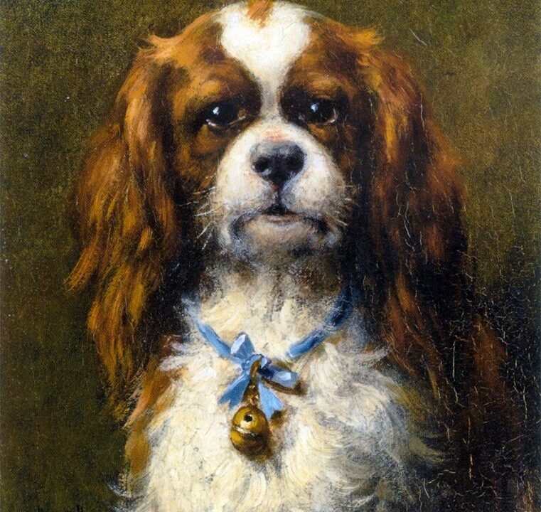 A20King20Charles20Spaniel20with20a20Blue20Ribbon.jpg