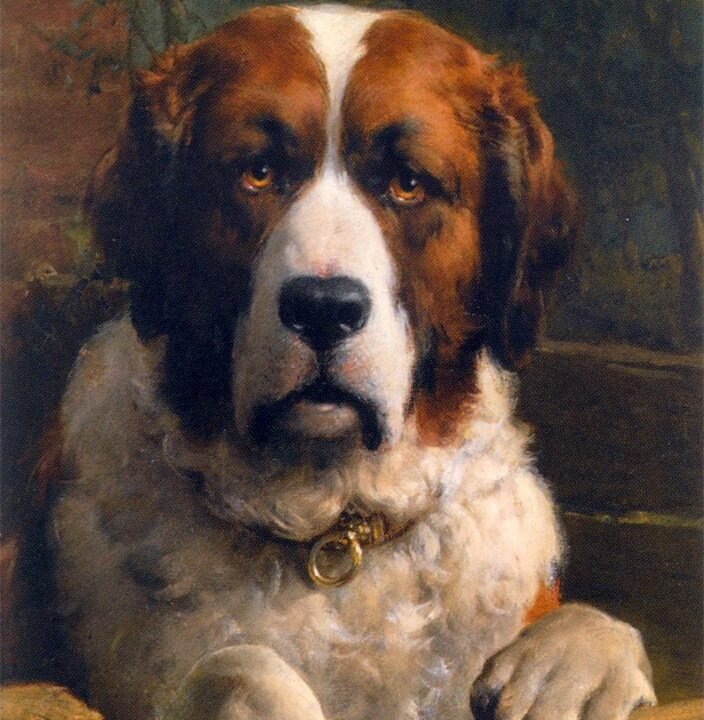 A20Saint20Bernard20Dog.jpg