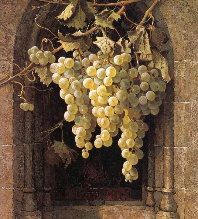 Grapes-3.jpg