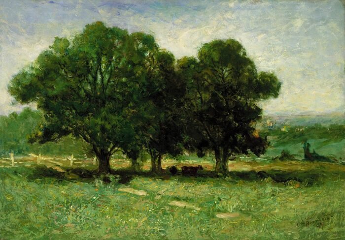 Landscape