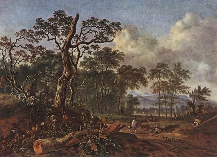 Road beside the Forest